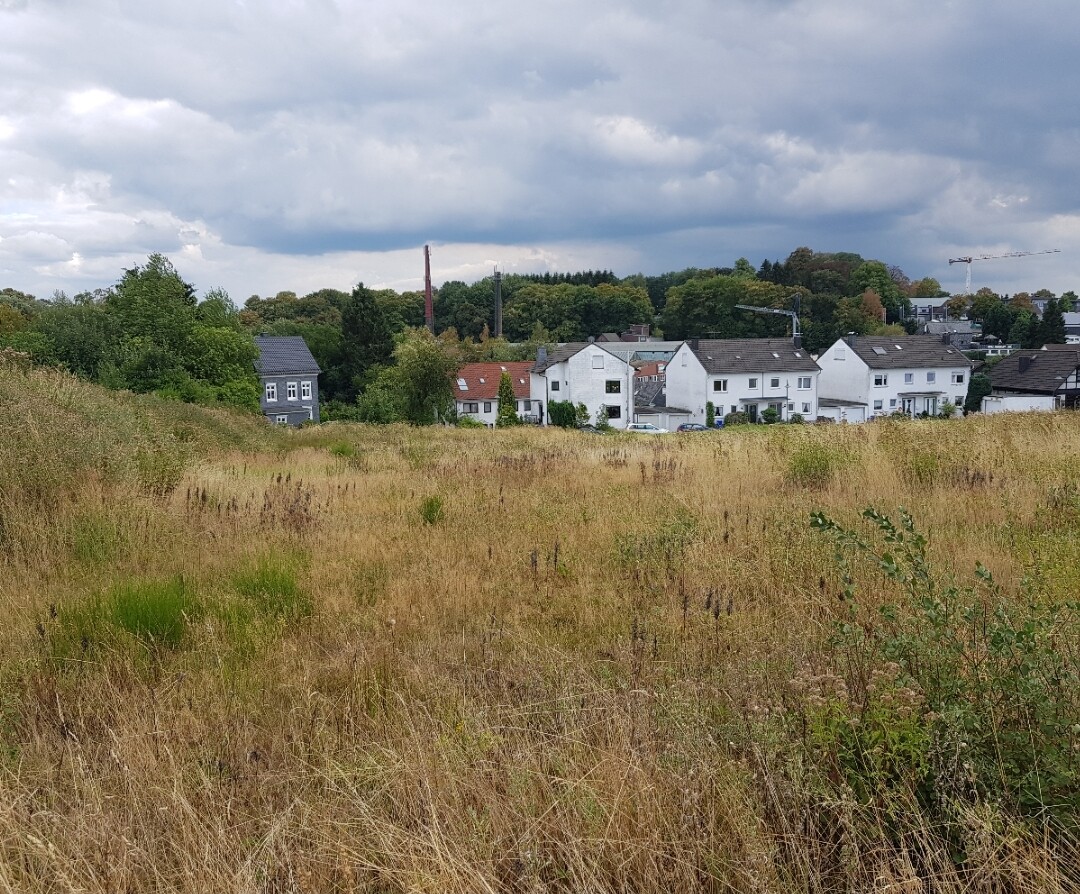 Offenes Grasfeld vor Wohnsiedlung aus weißen Häusern am Horizont.