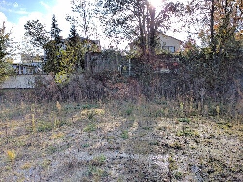 Leeres Grundstück mit Gras und Buschwerk, Häuser im Hintergrund sichtbar.