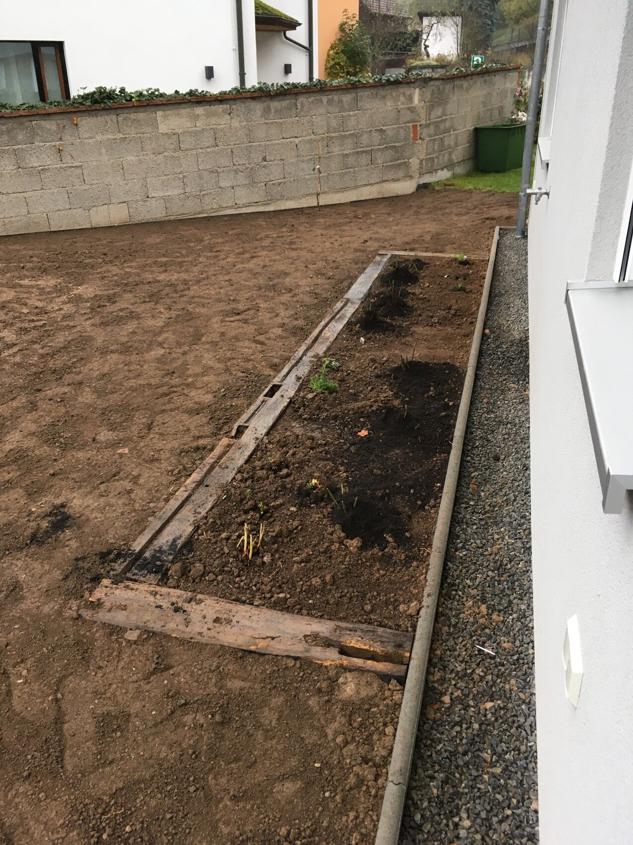 Langgestrecktes Holzbeet neben weißer Hauswand, klare Erdfläche, wenige Sämlinge, Kiesweg daneben.