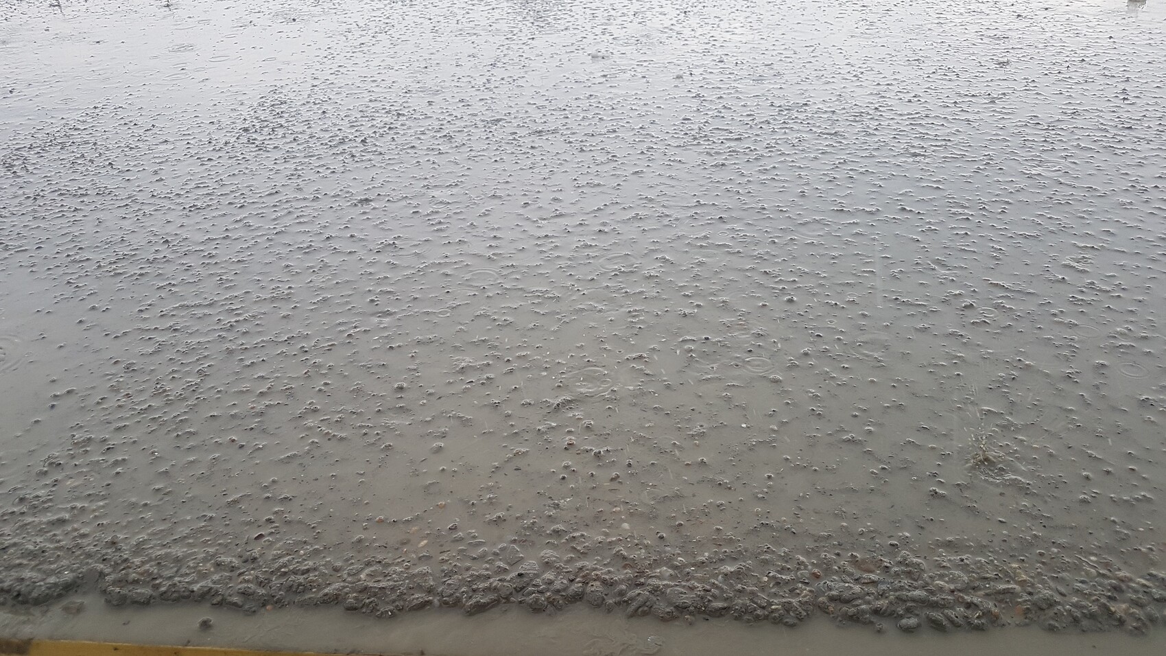 Frisch gegossene Betonoberfläche im Rohbau mit Feuchtigkeitsspuren und Bläschen am Rand.
