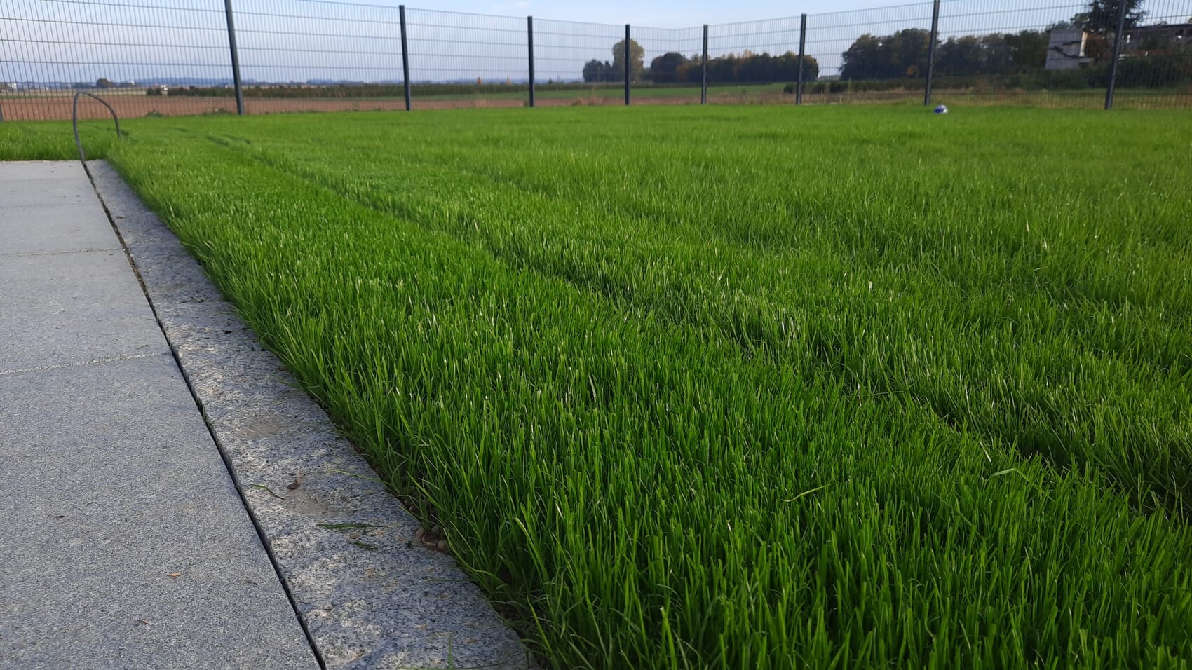 Grünes Grasfeld neben einem Betonweg, Maschendrahtzaun im Hintergrund, Felder dahinter.