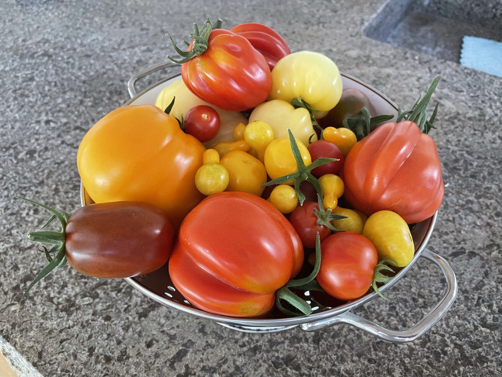 Metall-Sieb mit bunten Tomaten in Rot, Gelb und Orange, größere und kleinere Sorten, auf Steinboden.