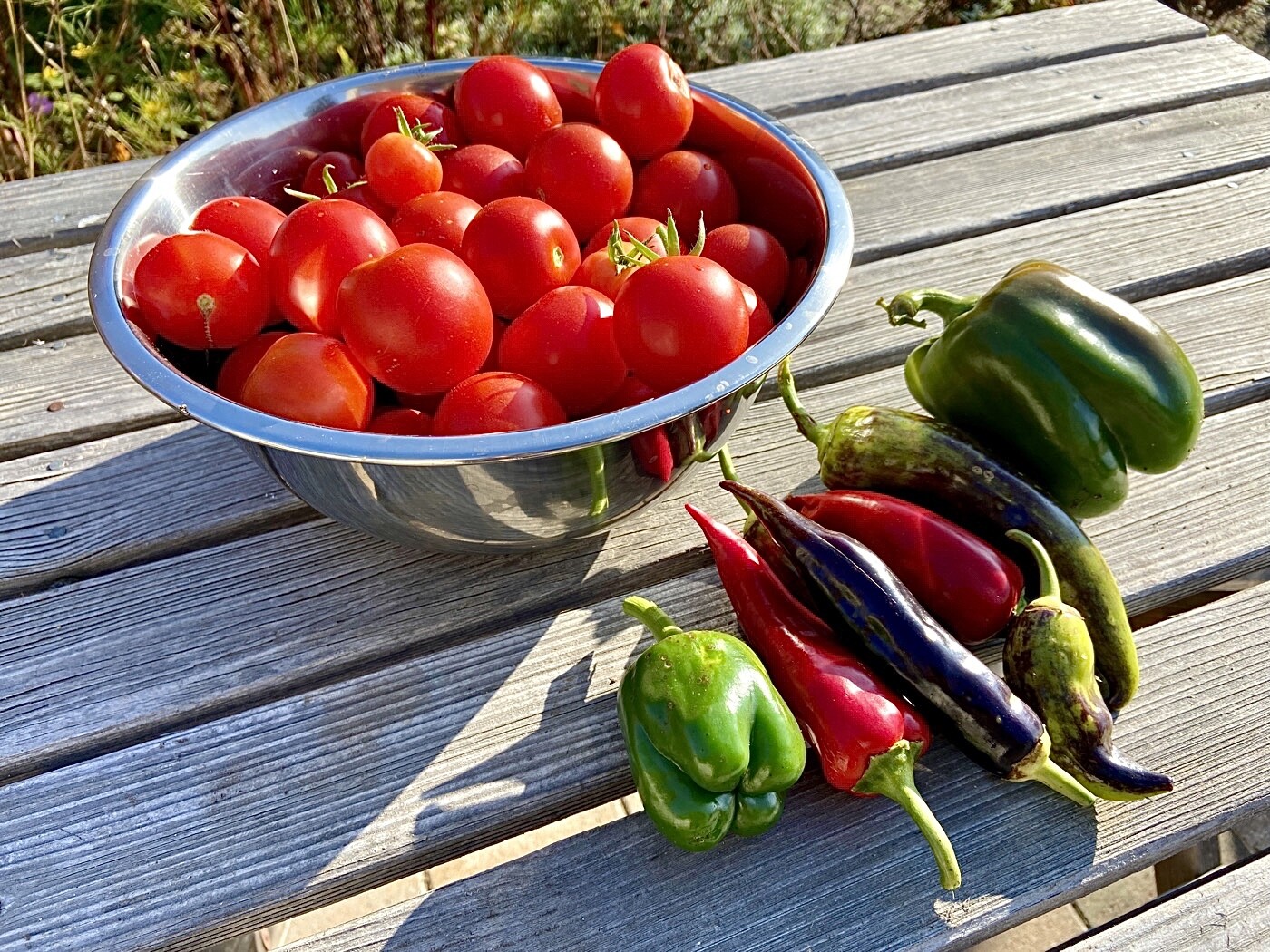 Metallene Schüssel mit roten Tomaten und Paprika auf Holztisch im Freien.