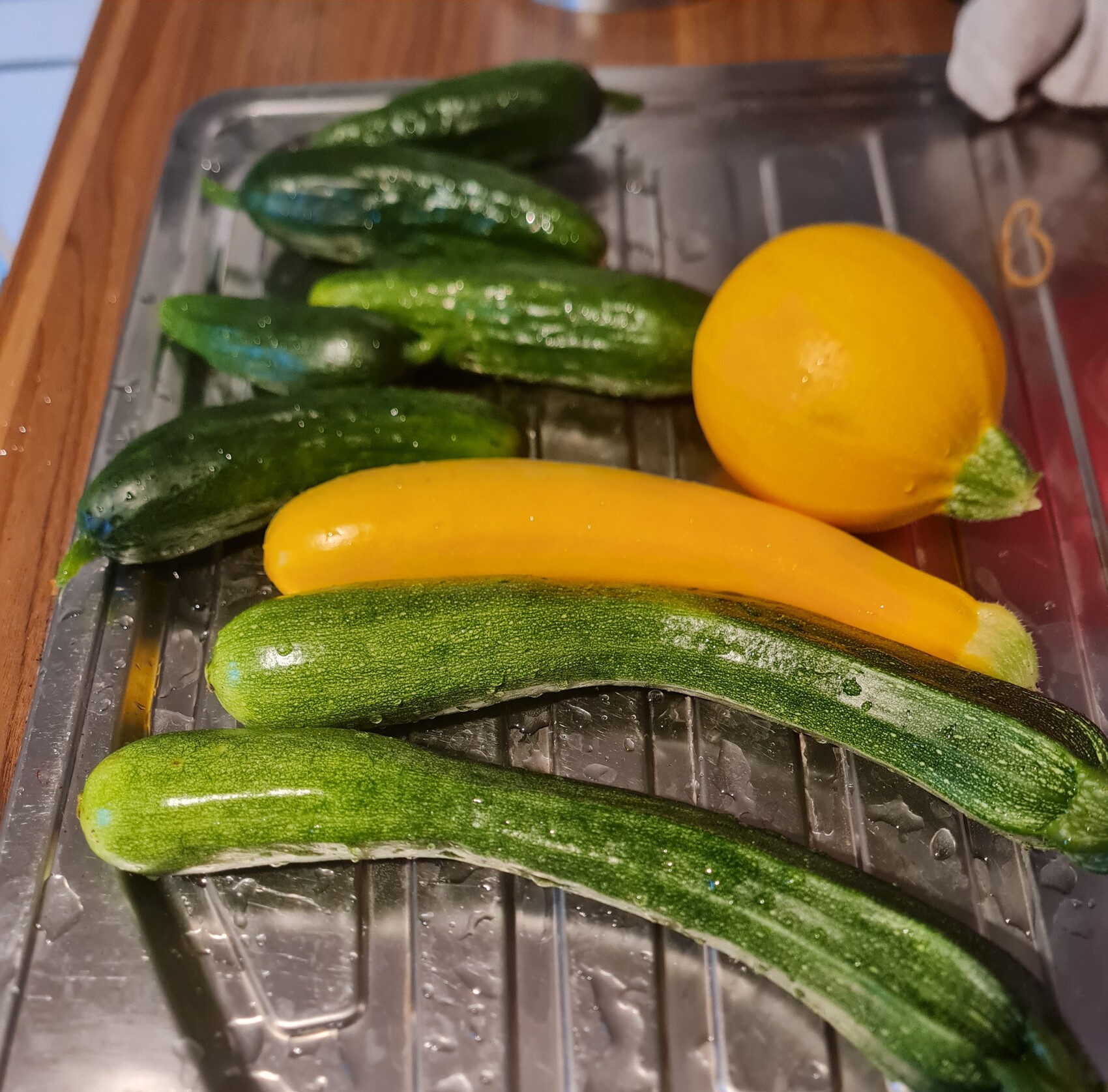 Mehrere grüne Gurken und eine gelbe Zucchini auf einer Metallablage mit Wassertropfen.