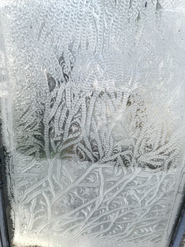 Gefrostete Fensterscheibe mit filigranen Eisblumenmustern.