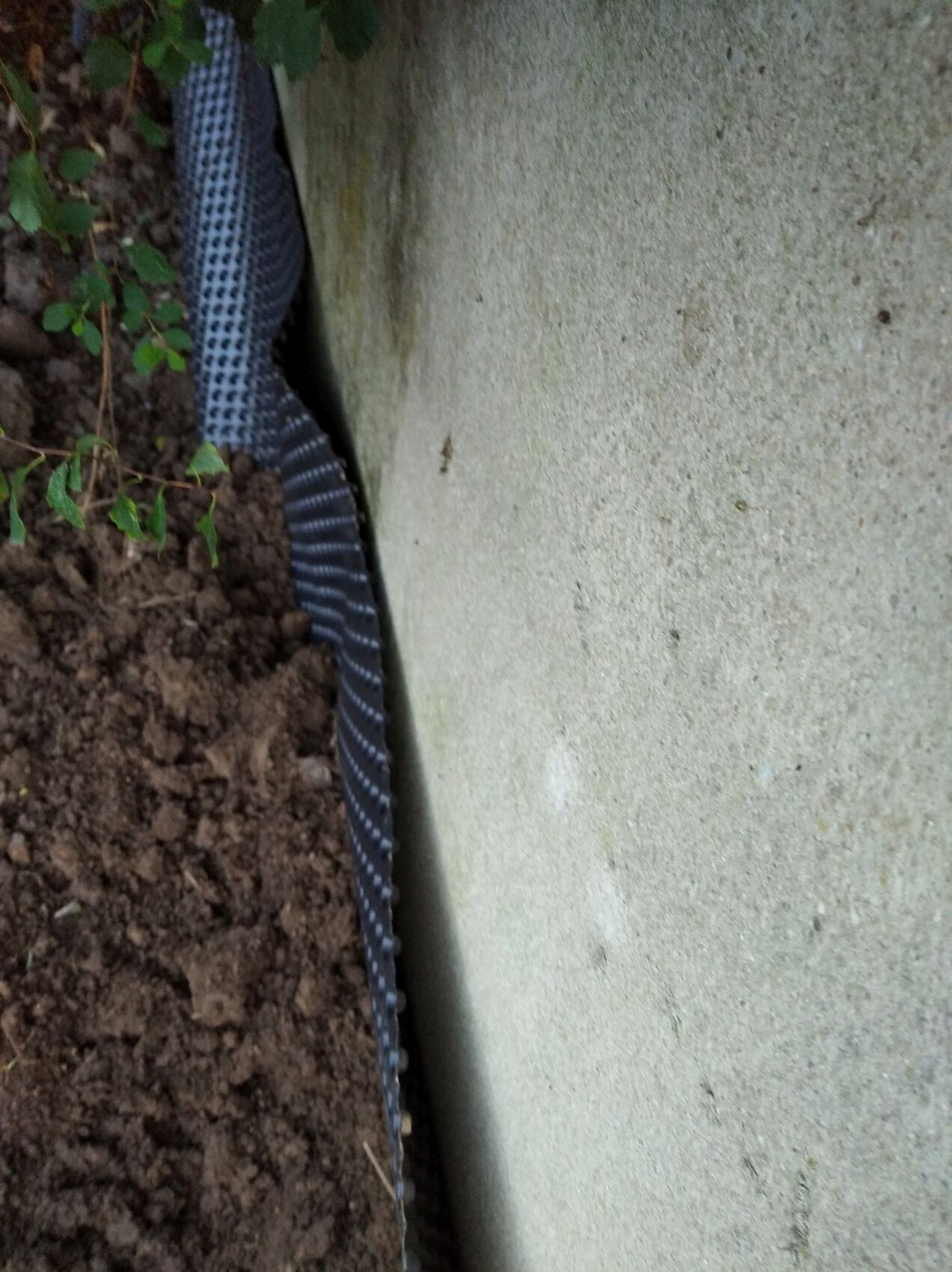 Schwarzer, gerippter Schlauch verläuft zwischen Erde und einer grauen Betonwand im Garten.