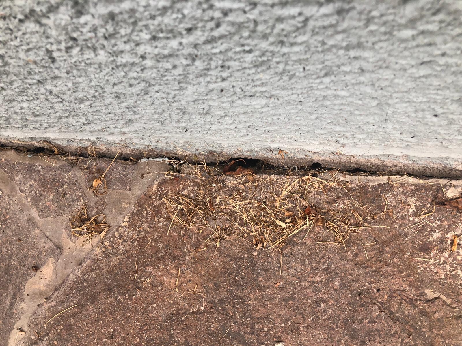Kleiner Spalt mit trockenem Gras zwischen grauer Betonstufe oben und braunem Steinboden unten.