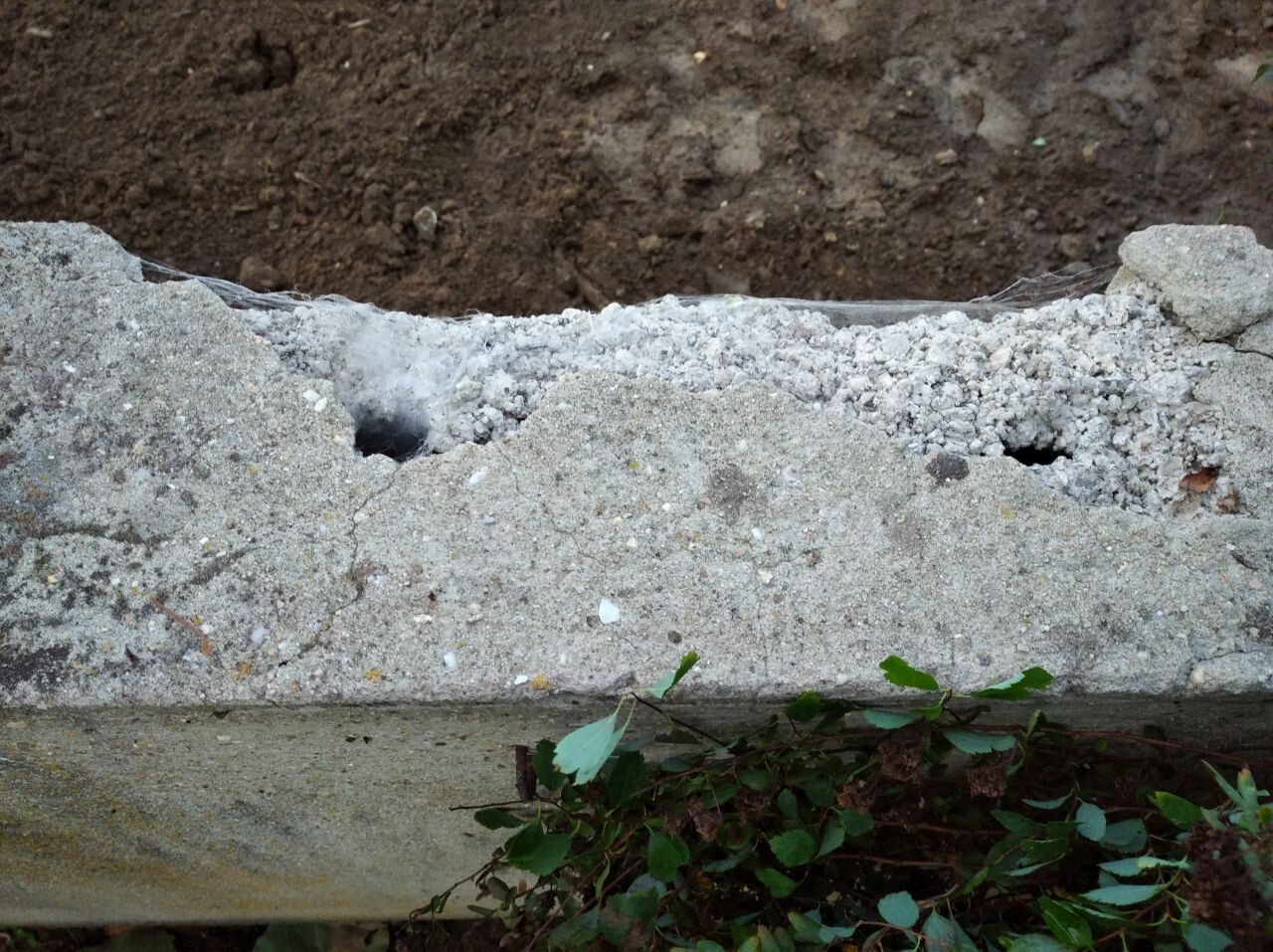 Rissige Betonmauer mit Löchern, lose Betonstücke; dahinter dunkle Erde, unten Pflanzen.