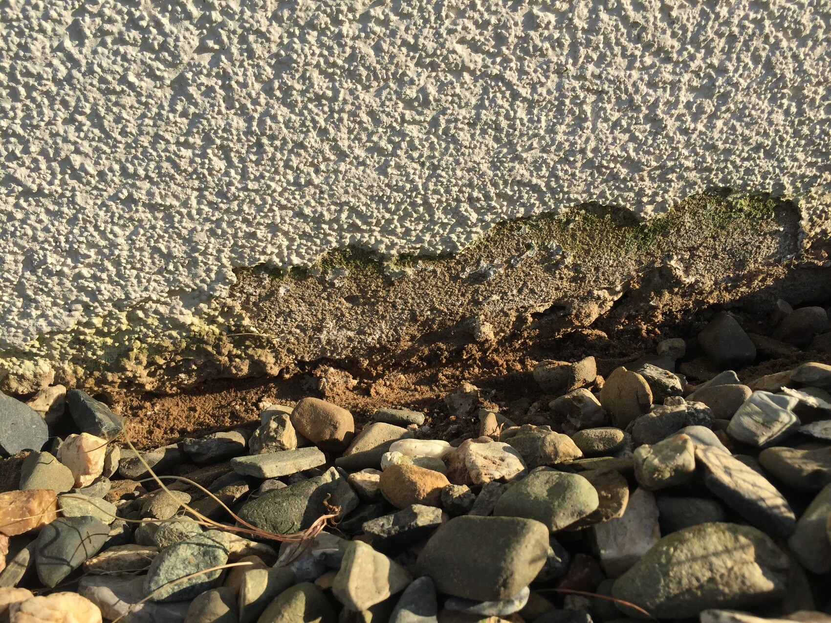Unterseite einer rauen, hellgrauen Betonmauer mit moosigem Rand, davor Kieselsteine.