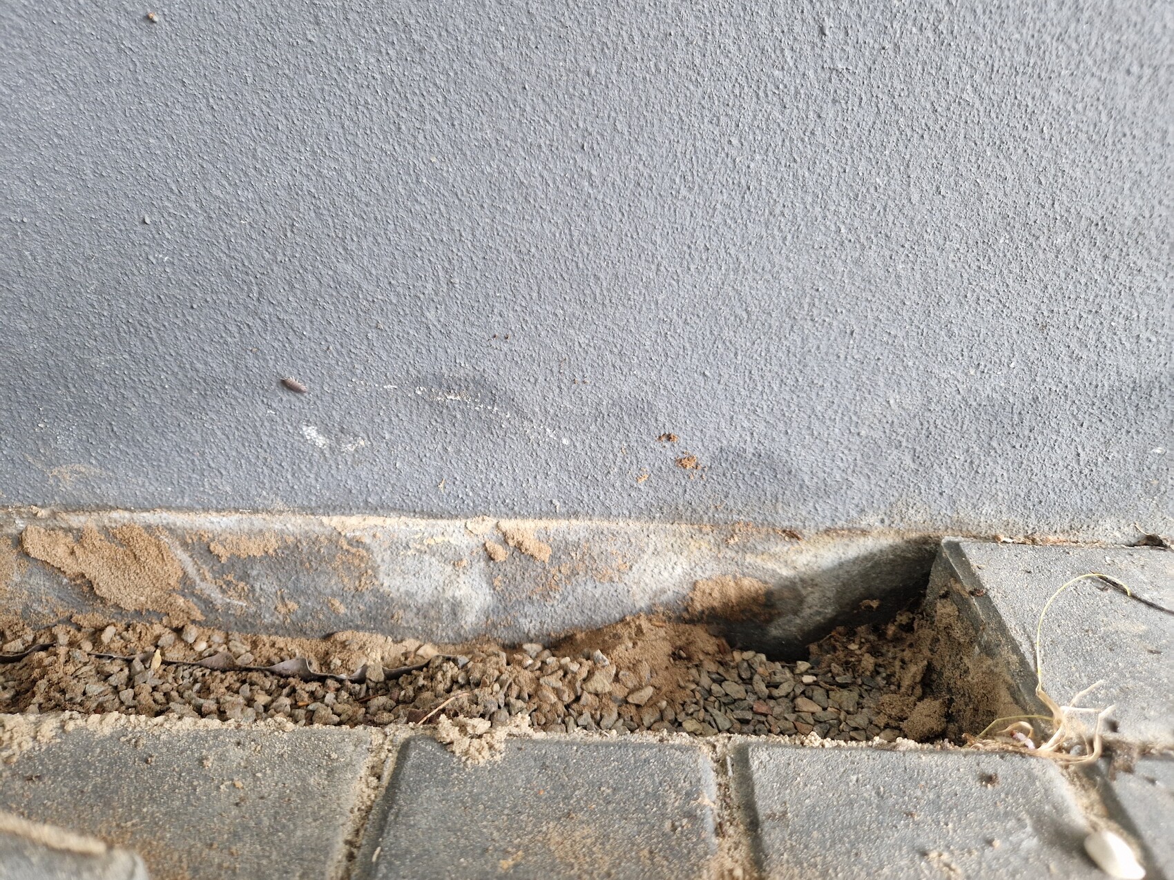 Graue Betonwand am Boden mit offener Spalte, Kies und Erde zwischen Pflastersteinen.