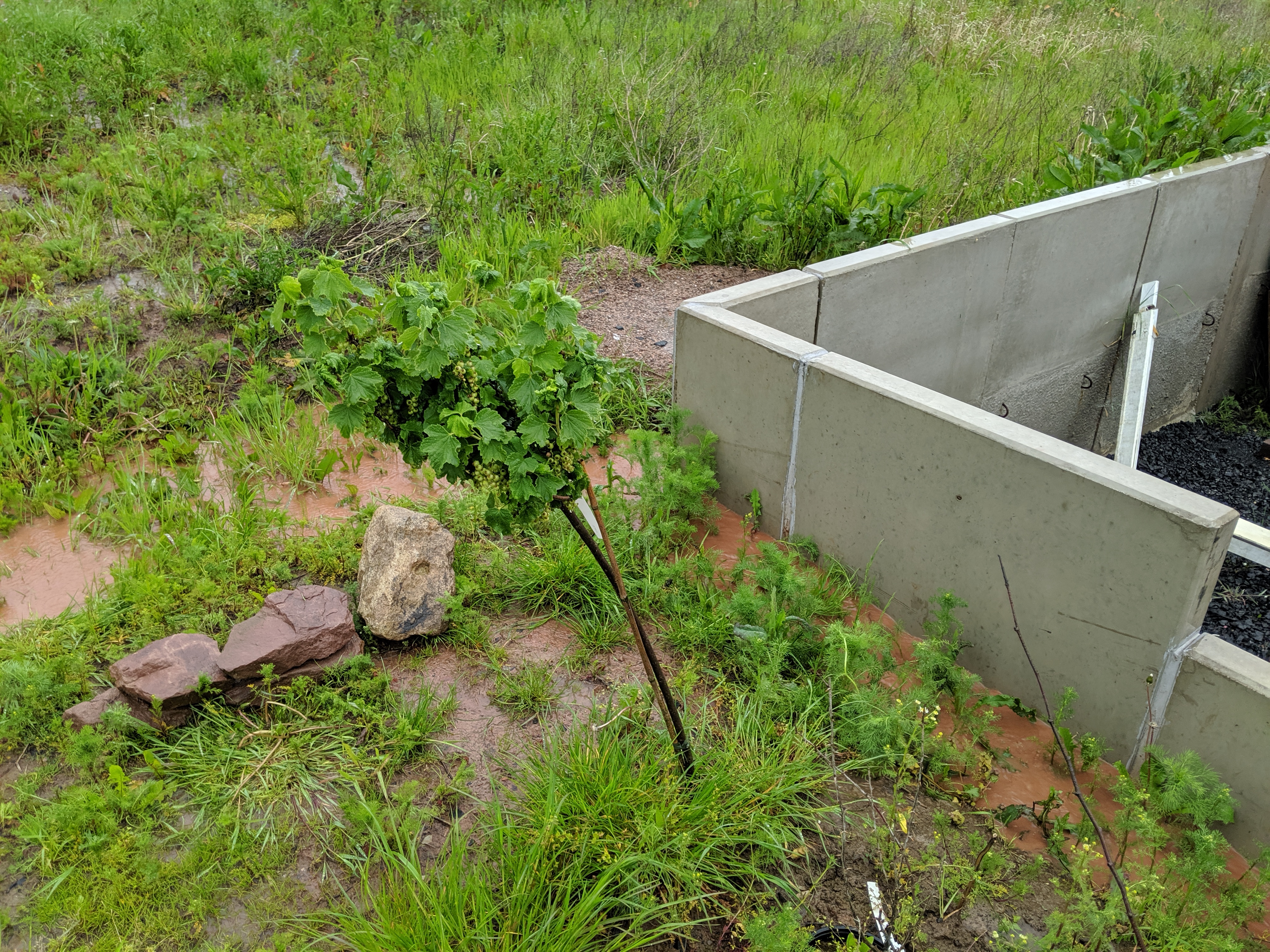funktion-einer-drainage-wem-gehoert-das-wasser-324666-1.jpg