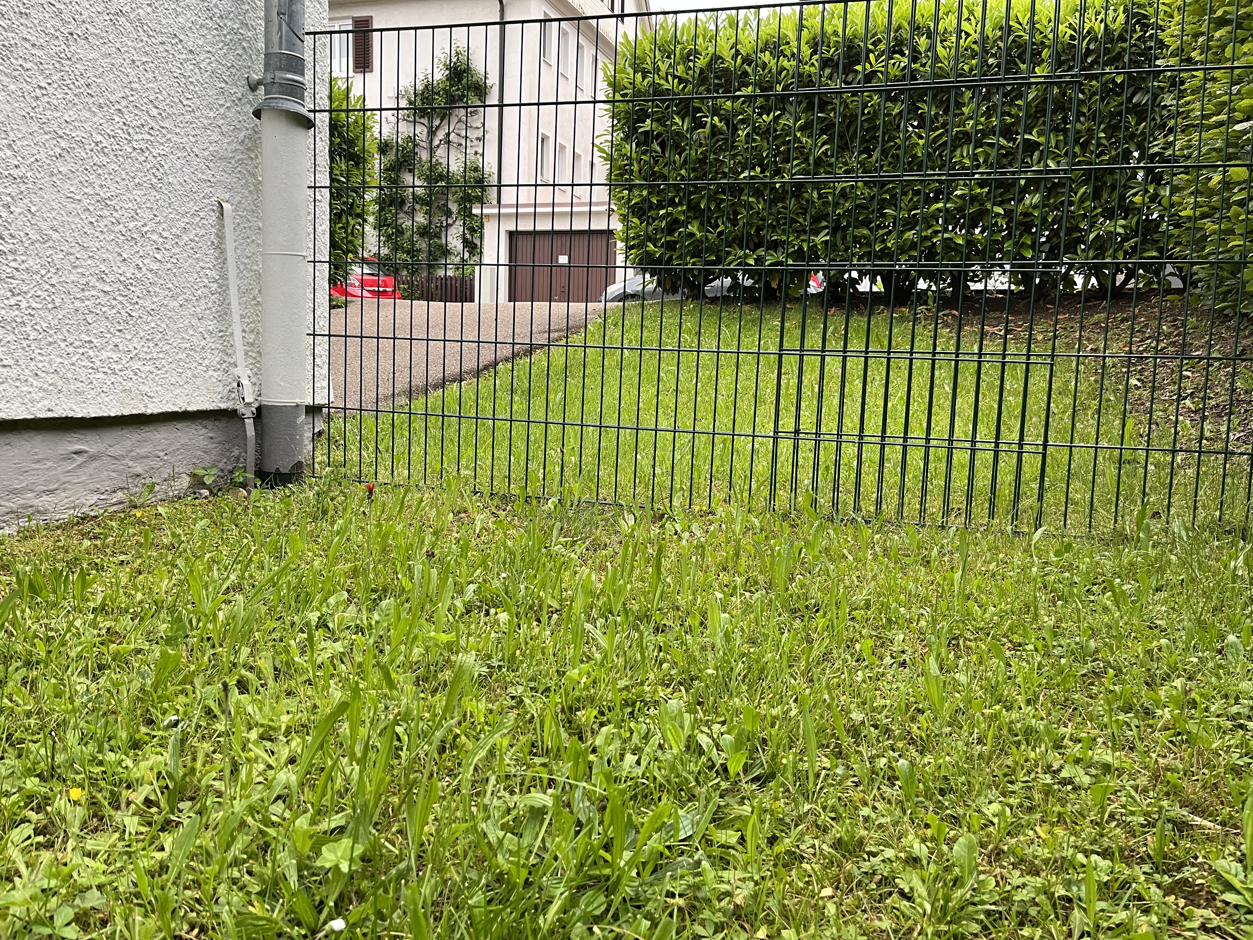 garagenanbau-am-haus-fragen-579636-2.jpeg
