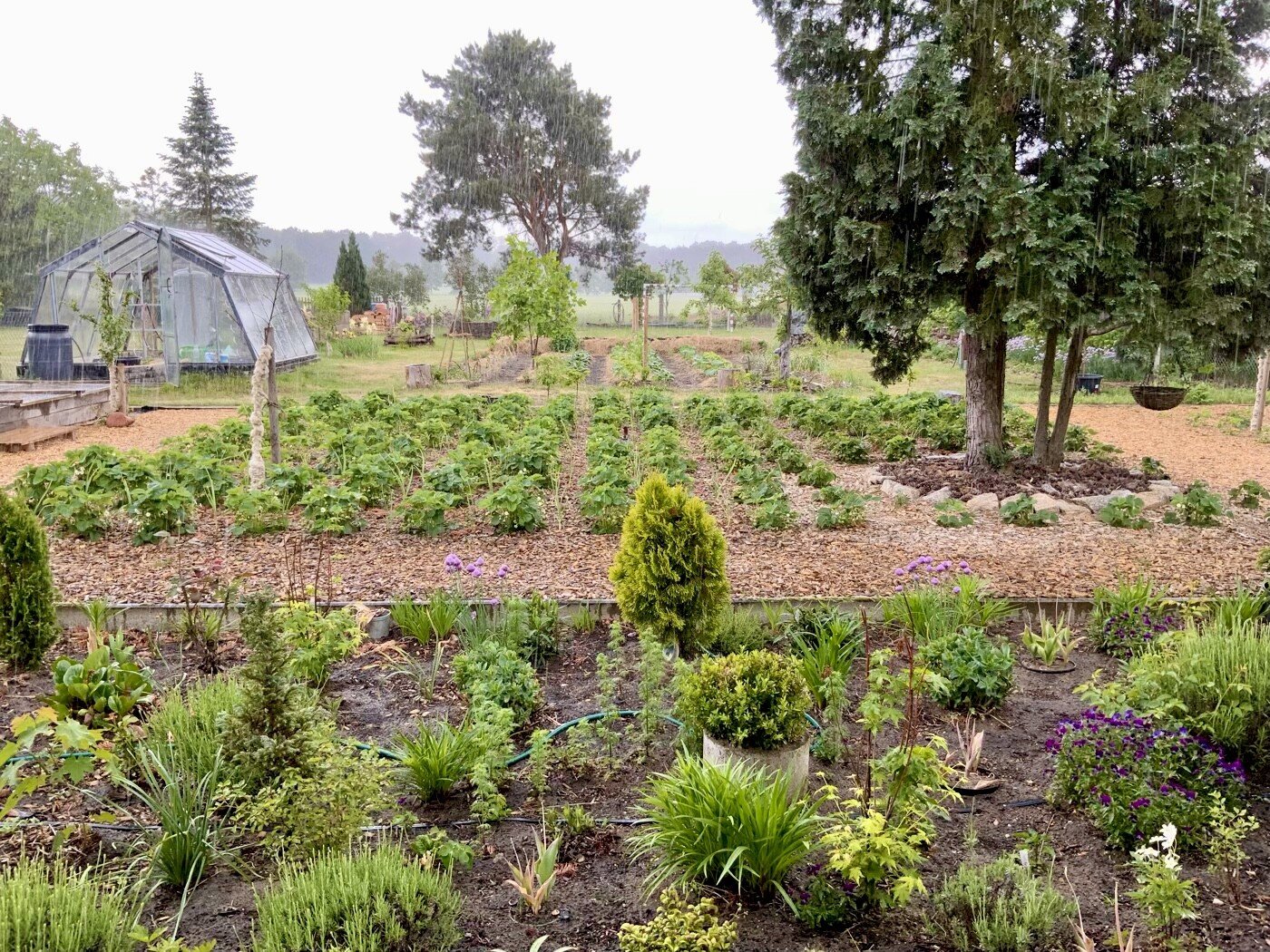 Garten mit Gemüsebeeten, Zierpflanzen, Bäumen und einem Glashäuschen links im Hintergrund.