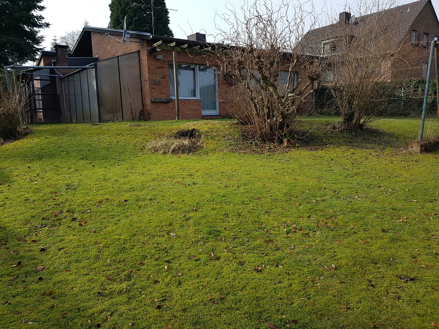 garten-anlage-mit-gruenem-rasen-hausfront.jpg