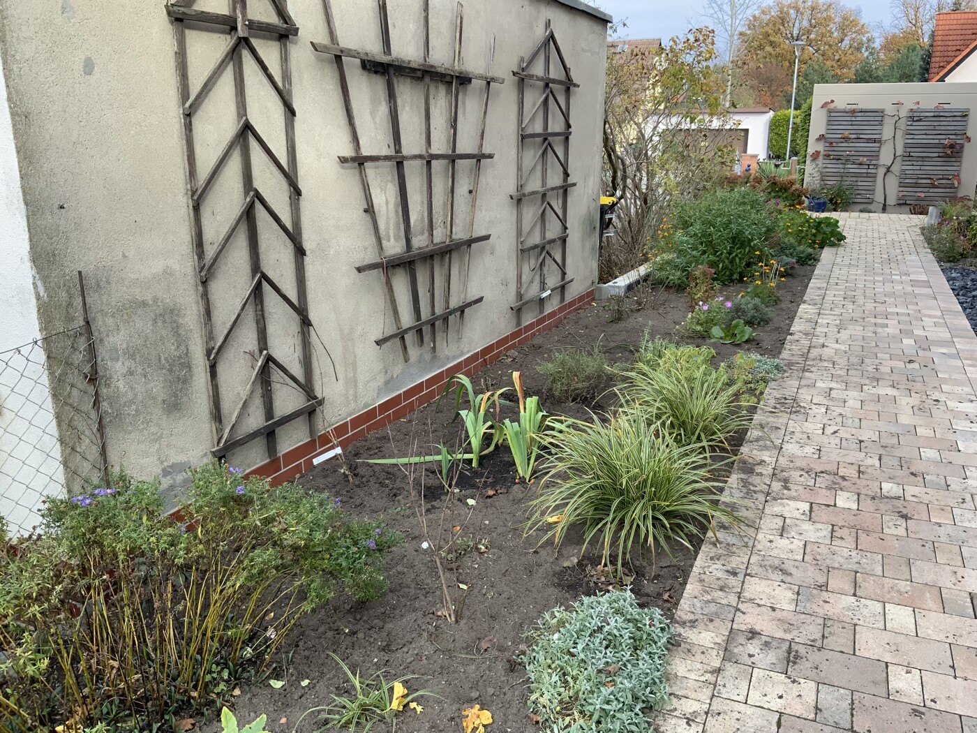 Gartenstreifen neben einer Wand mit Holzrankgittern, Pflanzbeete und gepflastertem Weg.