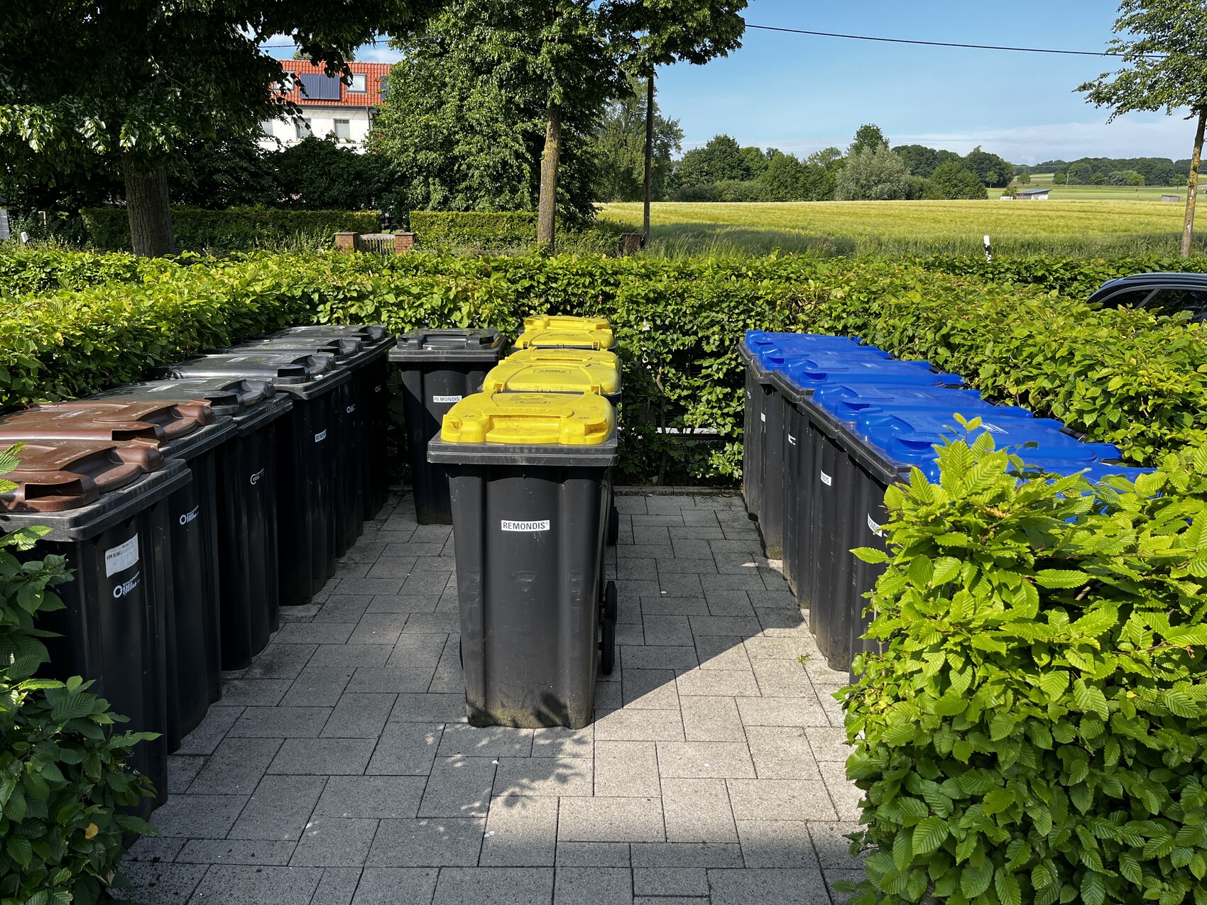 Mehrere Mülltonnen in einer Reihe im Außenbereich neben einer Hecke auf einem gepflasterten Vorplatz.