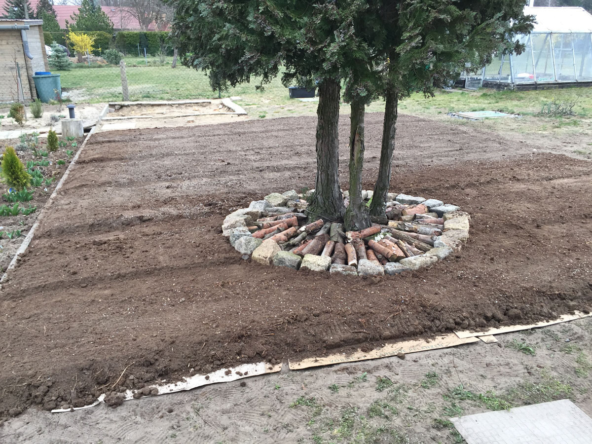 Gartenfläche mit Baum, Kreis aus Steinen, vorbereitete Erdfläche
