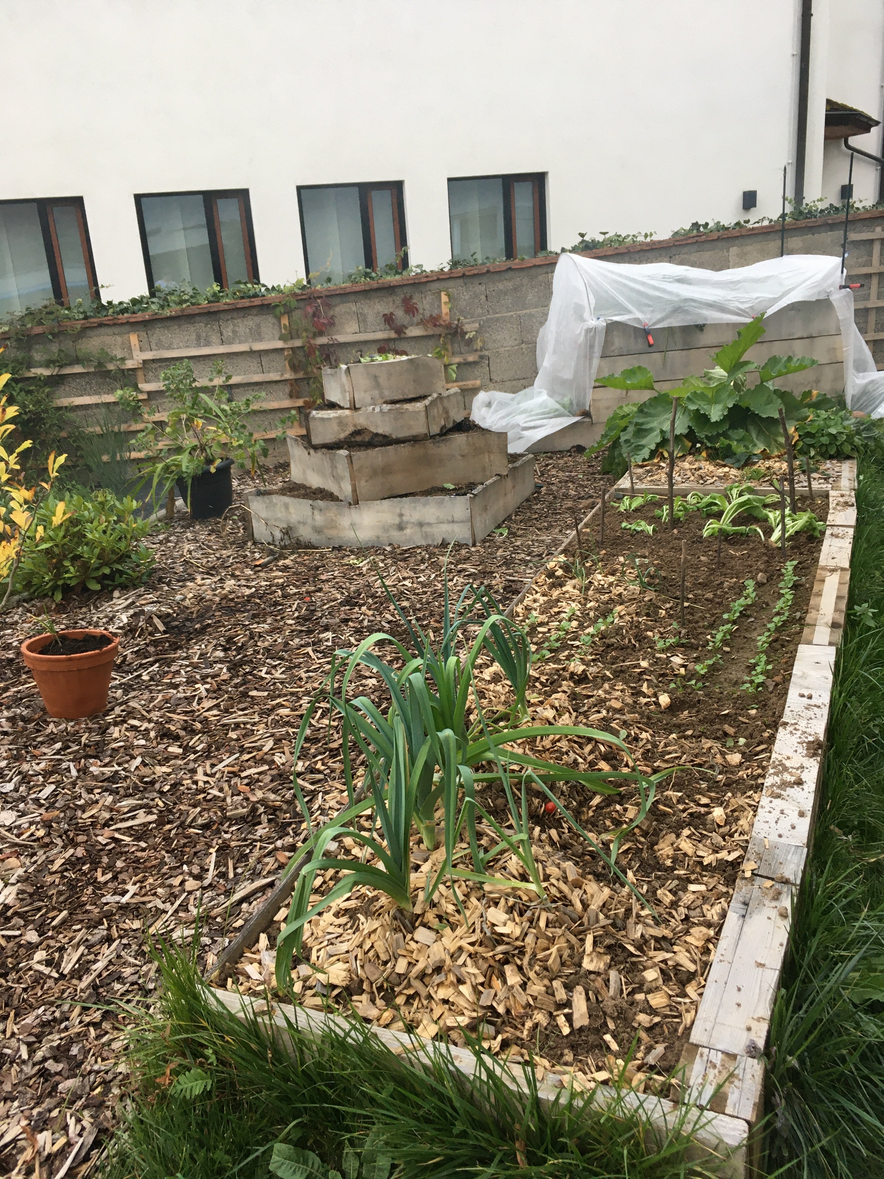 garten-beet-hochbeet-holzmulch-steinstufen-plastikabdeckung.jpeg