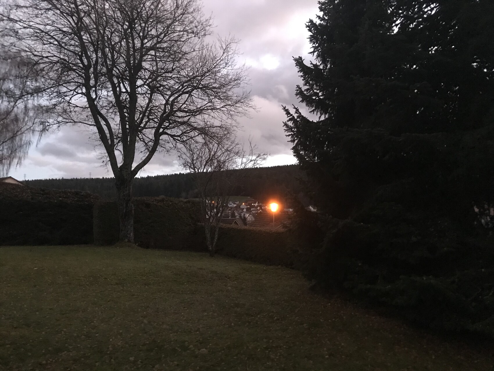 Abendliche Gartenlandschaft mit kahlem Baum links, Hecke rechts, orange Straßenlampe in Distanz.