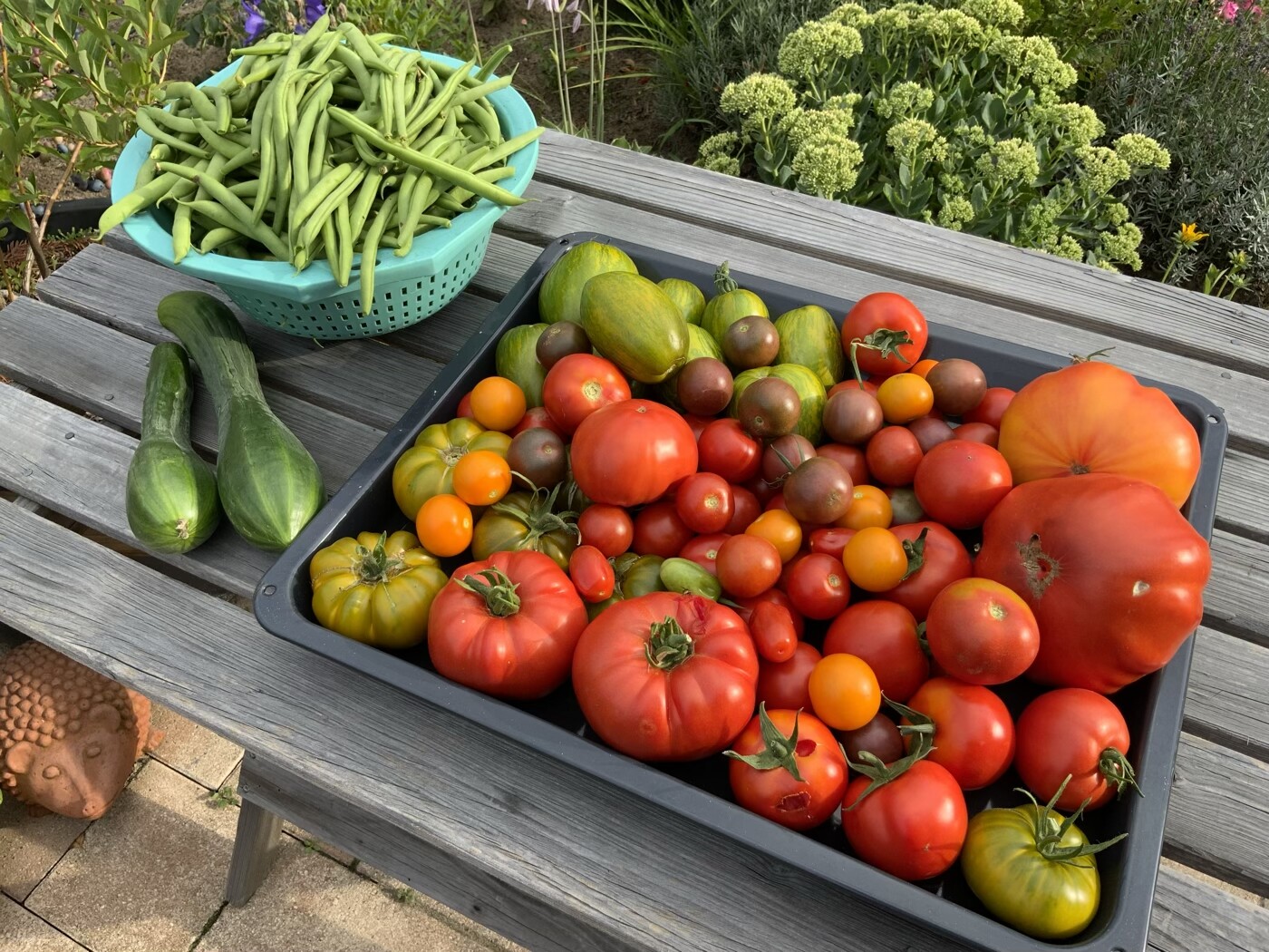 Bunte Tomaten in einer schwarzen Schale auf Holztisch; daneben grüne Bohnen in einem Korb und zwei Gurken.