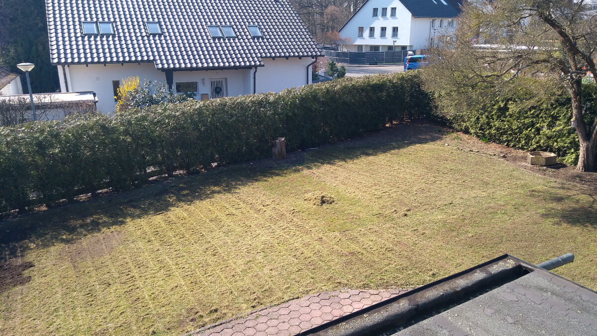 Garten mit grünem Rasen, Hecke am Zaun, linke Häuser, Baum rechts.