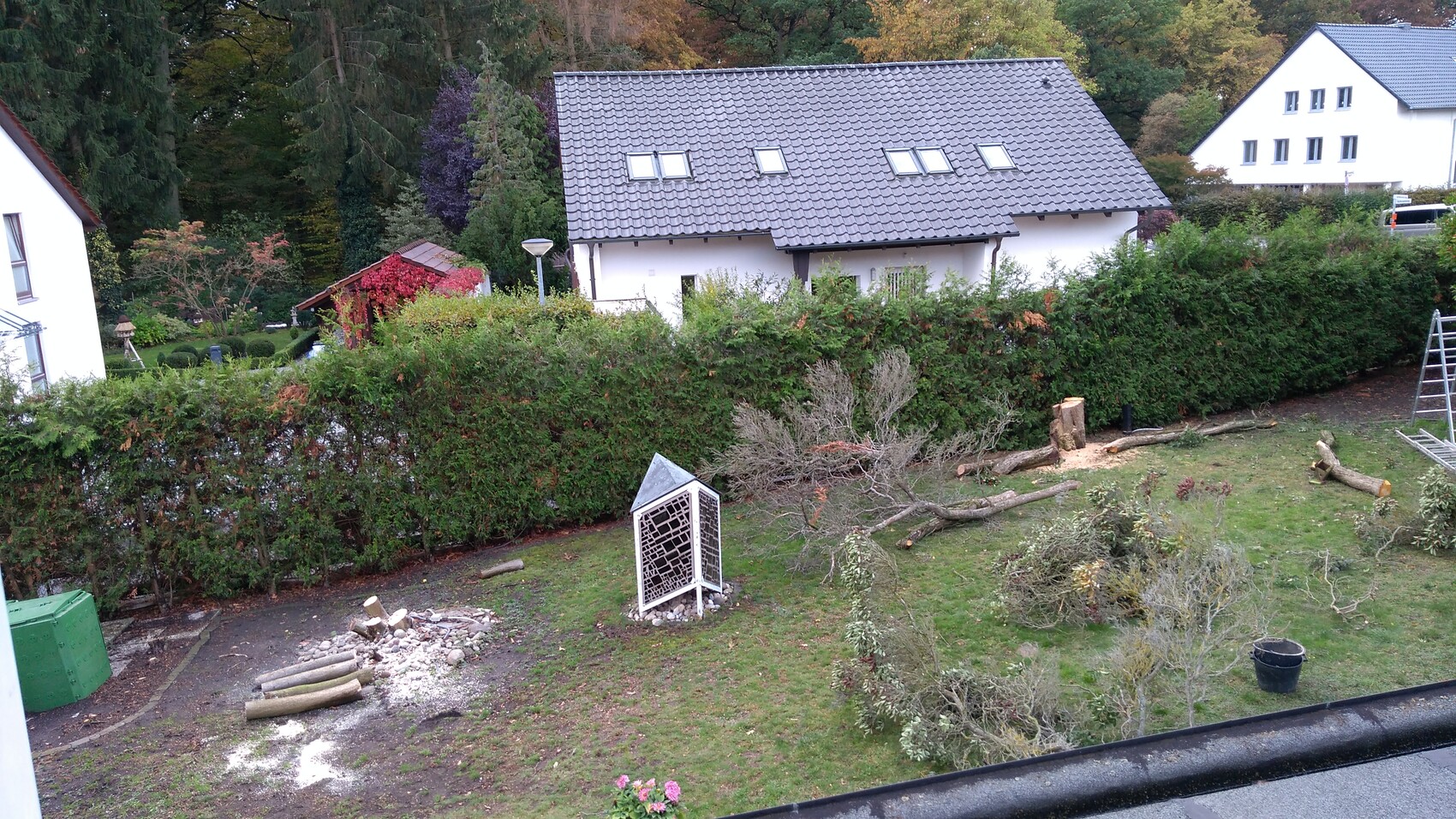 Garten mit umgestürzten Ästen, Holzresten und abgeschnittenen Bäumen vor weißen Häusern.