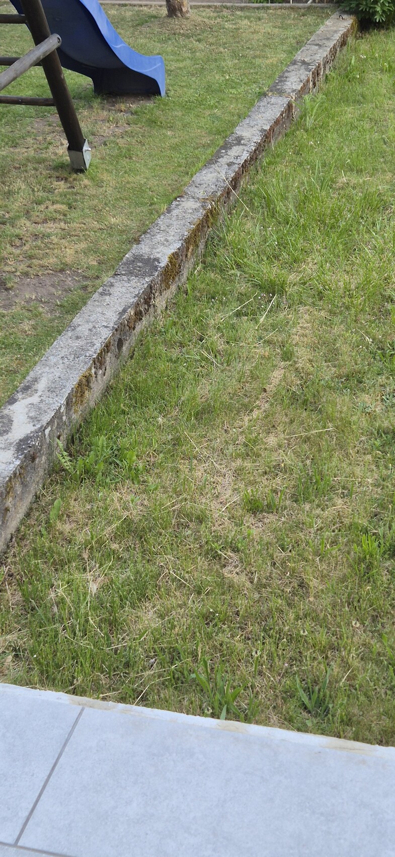 Blaue Rutsche neben einer langen Steinmauer in einem grasbewachsenen Garten, Vordergrund Fliesen