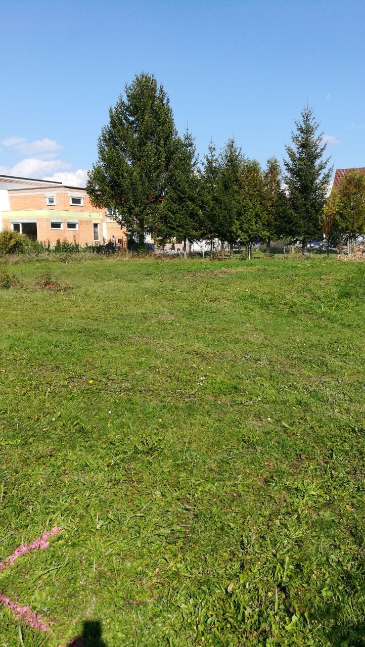 Grünes offenes Grundstück mit Bäumen und Gebäuden im Hintergrund bei sonnigem Wetter