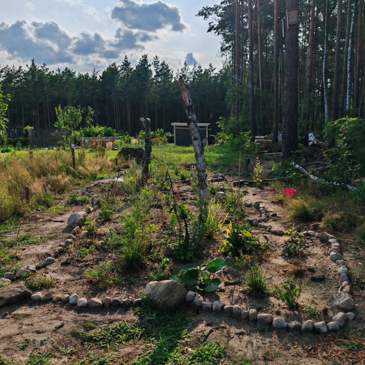 Garten mit runder Steinbegrenzung um zentralen Baumstumpf, Wald im Hintergrund.