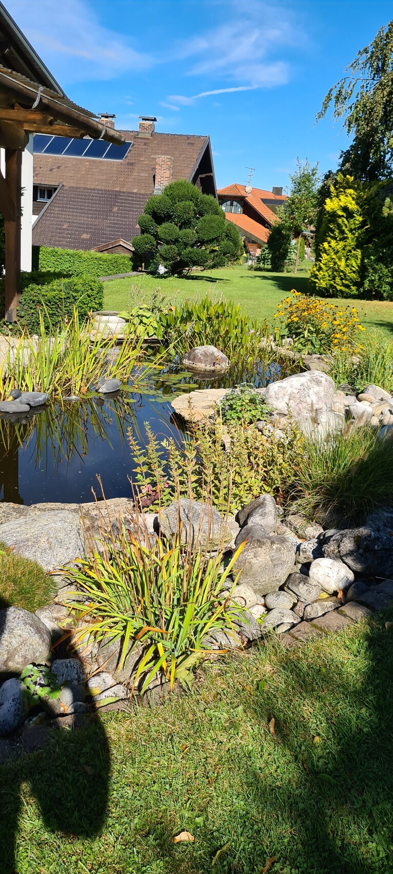 Garten mit kleinem Teich, Steinen, Pflanzen; Haus mit Solarmodule im Hintergrund.
