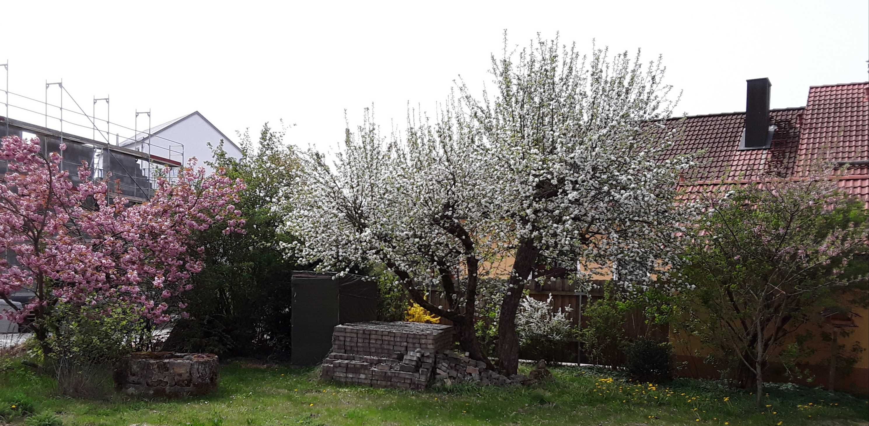 garten-mit-bluhenden-baeumen-im-fruehling.jpg