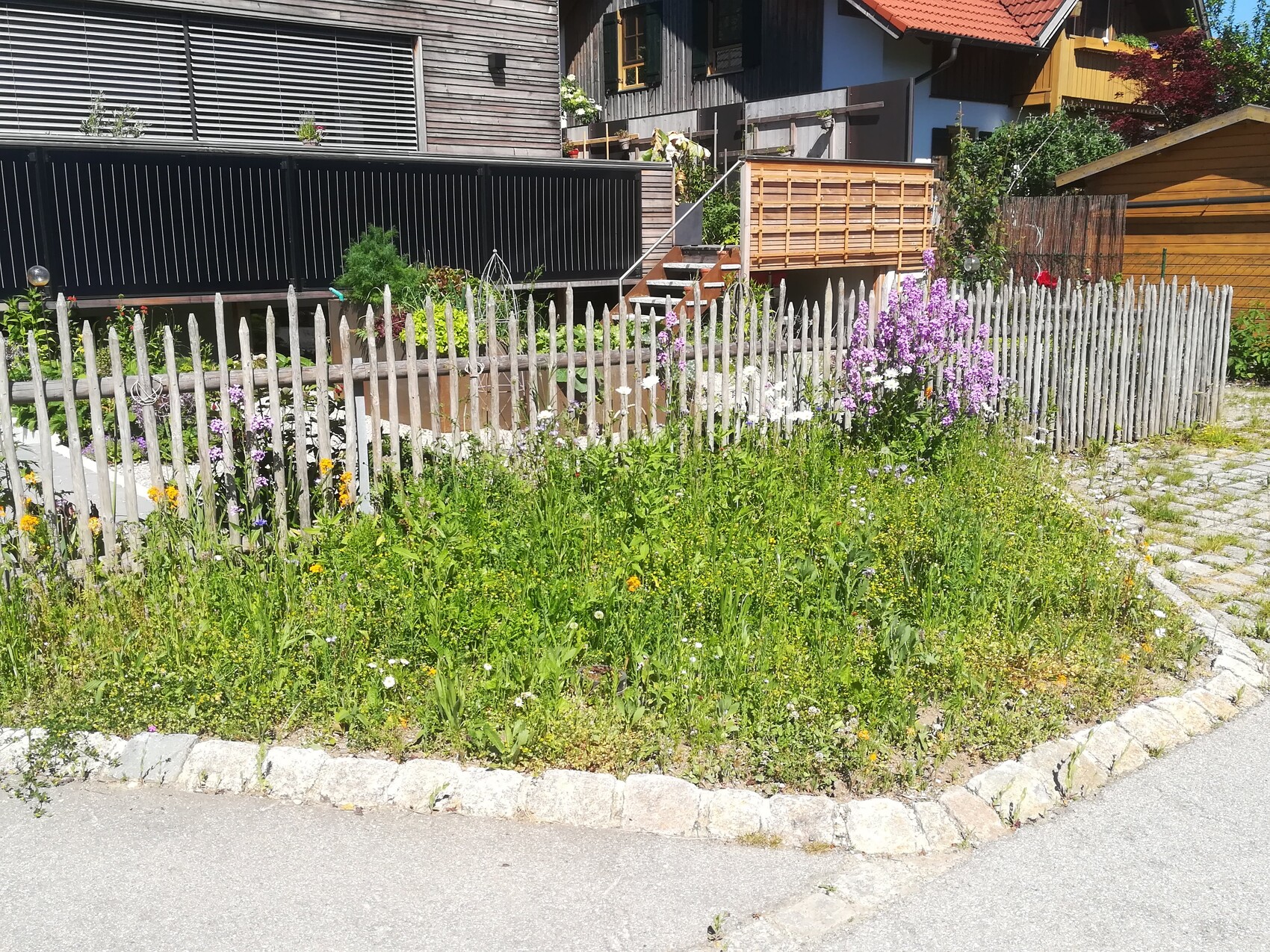 Vorgarten mit bunten Wildblumen hinter einem verwitterten Holz-Lattenzaun, Häuser im Hintergrund.
