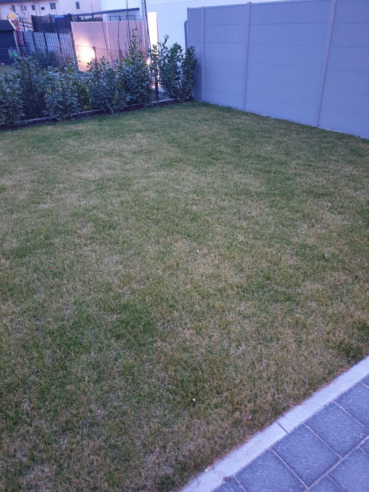 Garten mit grünem Rasen, Hecke am Zaun und gepflastertem Rand