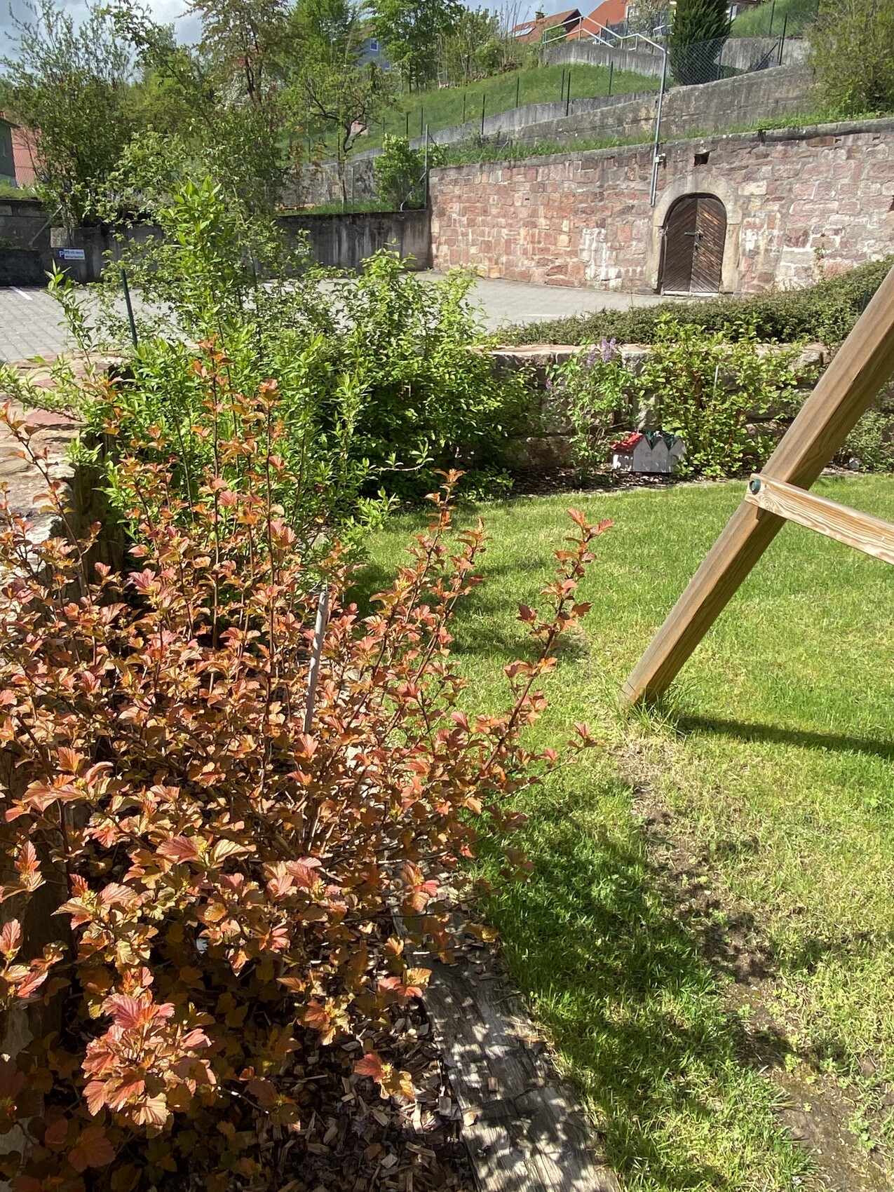 Garten mit rotem Laubstrauch im Vordergrund, grünem Rasen und Steinmauer mit Tor.