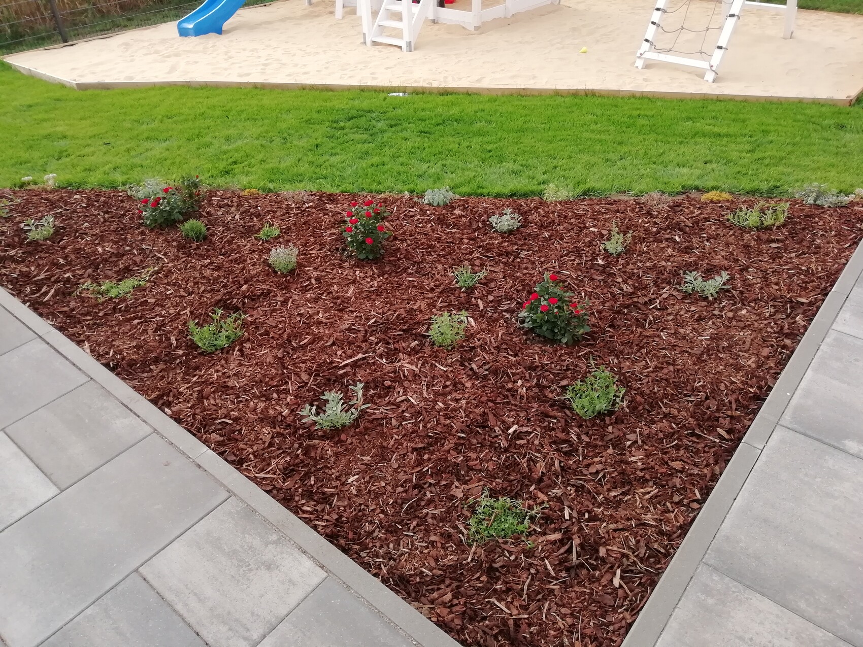 Gartenbeet mit braunem Mulch, kleinen Grünpflanzen und roten Blüten; Spielplatz im Hintergrund.