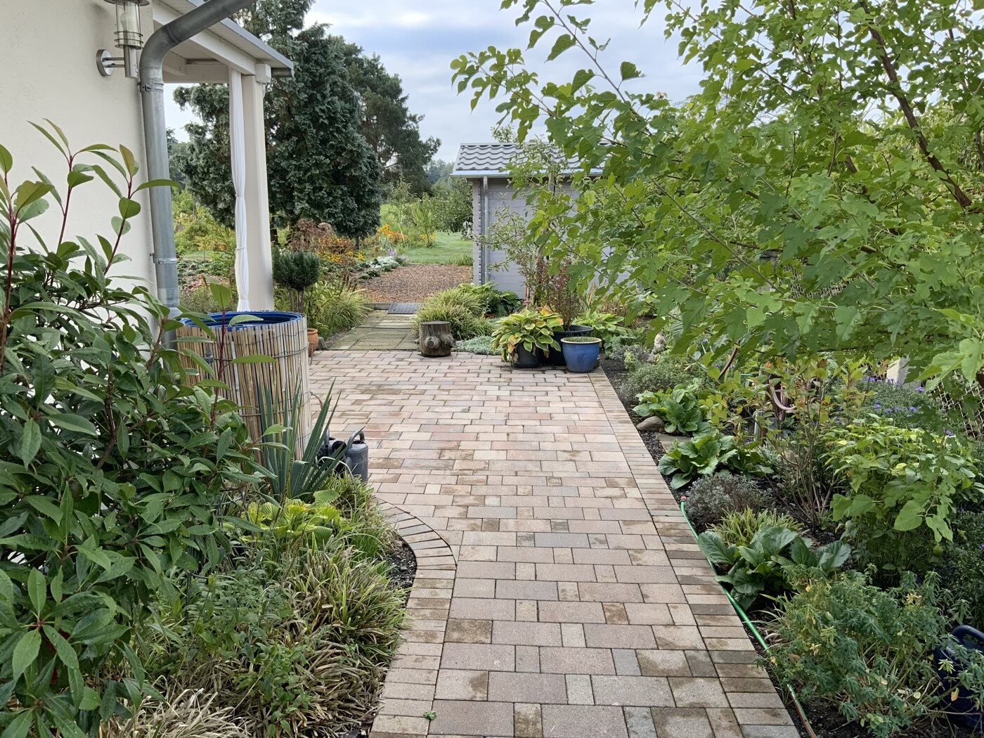 Gartenweg aus Pflastersteinen, links Hausfassade, rechts Beete und Bäume.