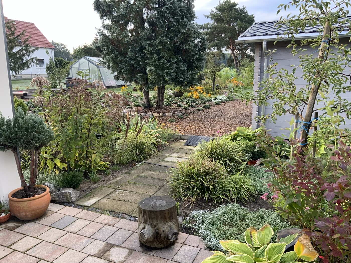 Garten mit gepflasterter Terrasse, Baumstumpf-Hocker, Beete und Gewächshaus im Hintergrund.