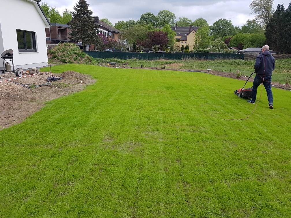 Mann mäht grünen Rasen im Garten neben einem Haus