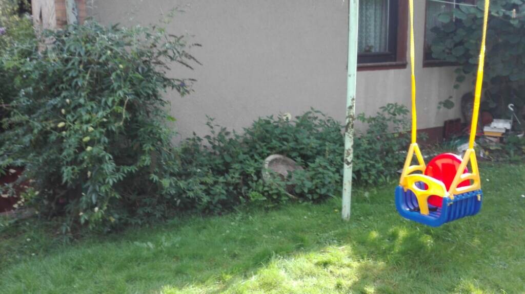 Garten mit bunter Kunststoff-Kinderschaukel, Gras und Buschwerk vor Hauswand