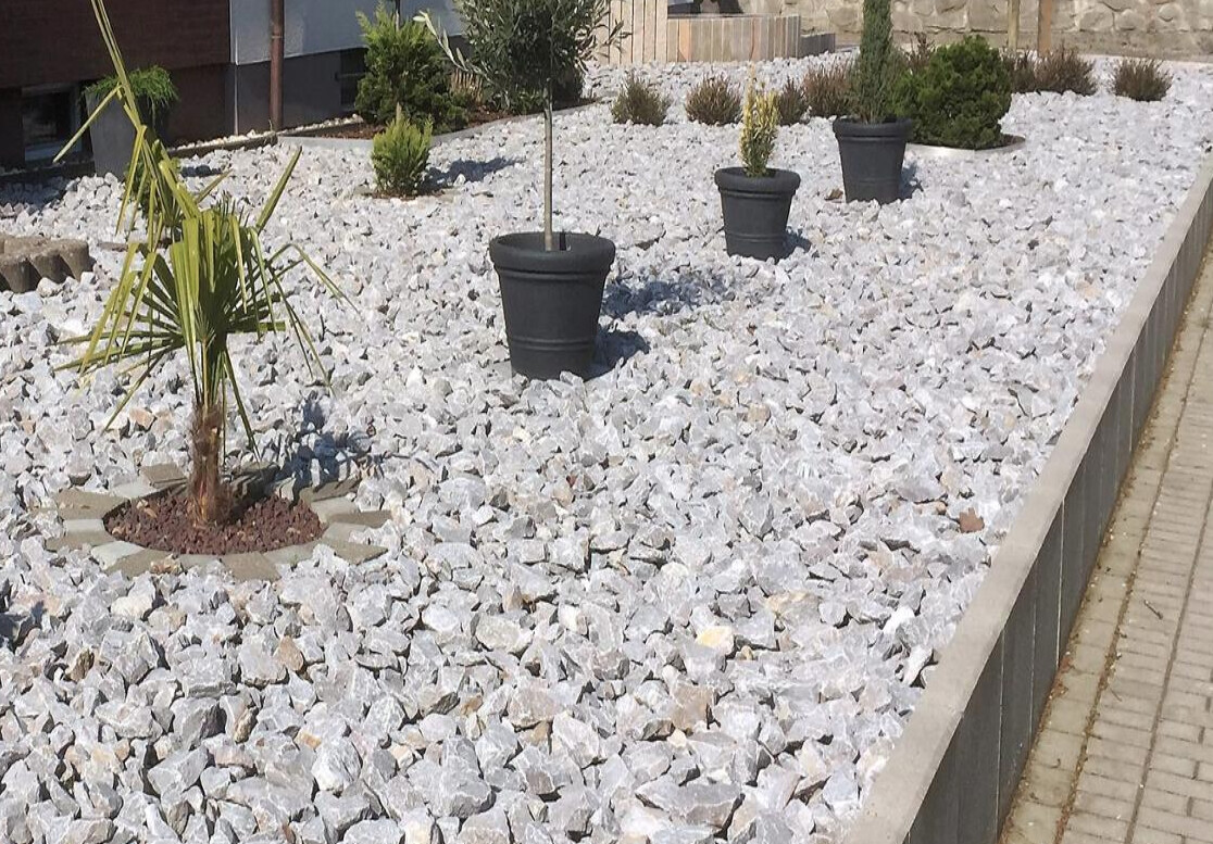 Gartenfläche mit weißem Kies, Palme in Kreisrand und schwarzen Pflanzkübeln mit Bäumchen.