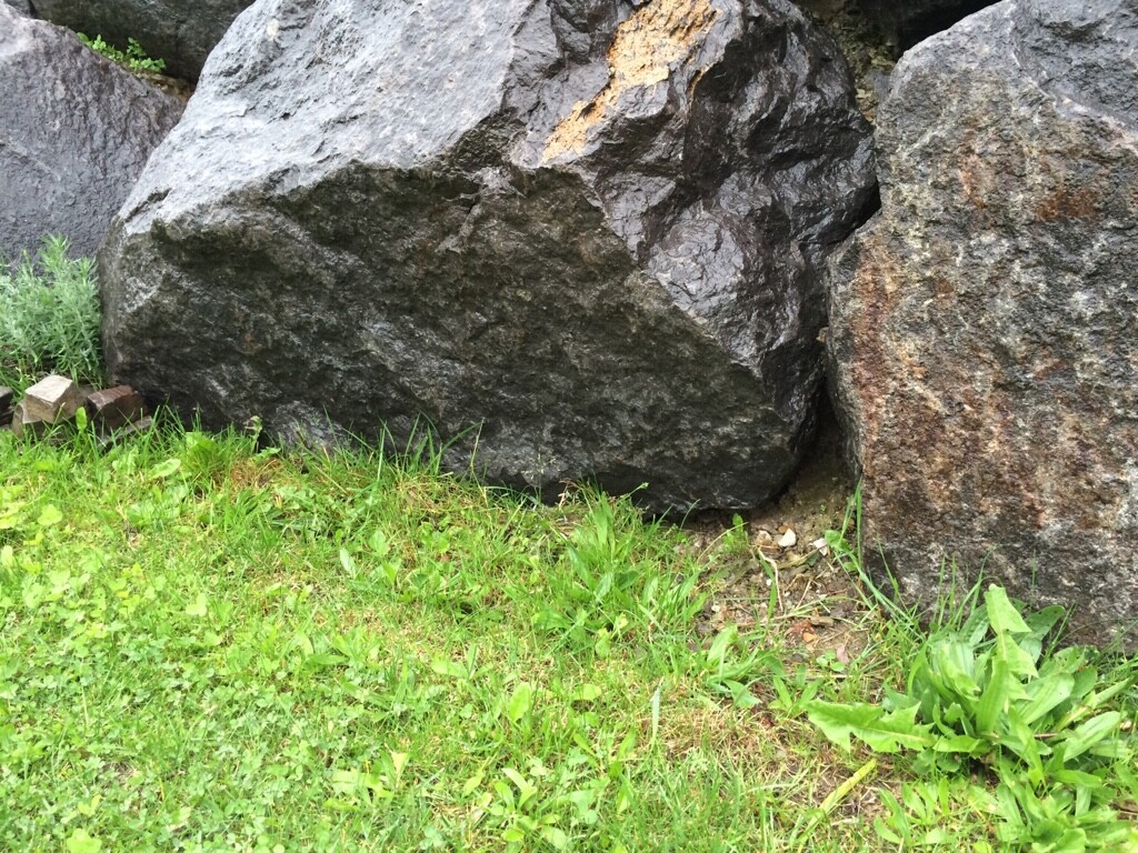 Gartenbereich mit großen dunklen Steinen, Gras und umliegenden Pflanzen.