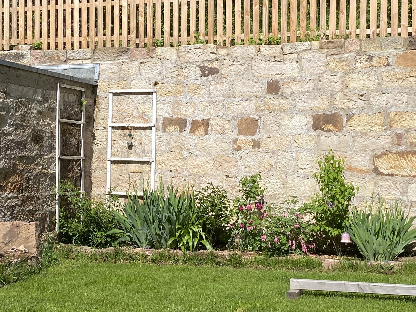 Gartenansicht: Steinmauer mit Holzlattenzaun, weiße Leiter, Iris- und Blumengarten vor Grünfläche.