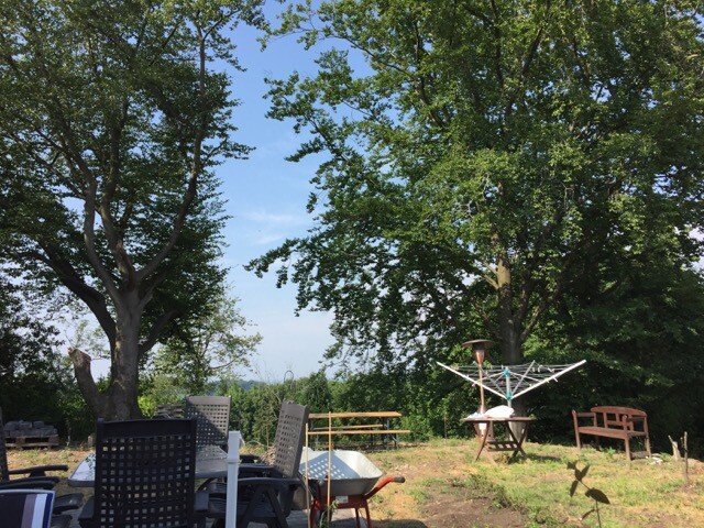 Außenansicht eines Gartens mit Terrasse, Gartenmöbeln und Bäumen