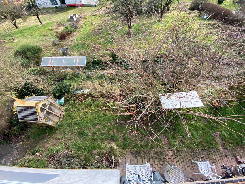 Draufsicht auf Garten: großer blattloser Baum, Holzkiste, Solarpanel, Gartenmöbel am Boden.