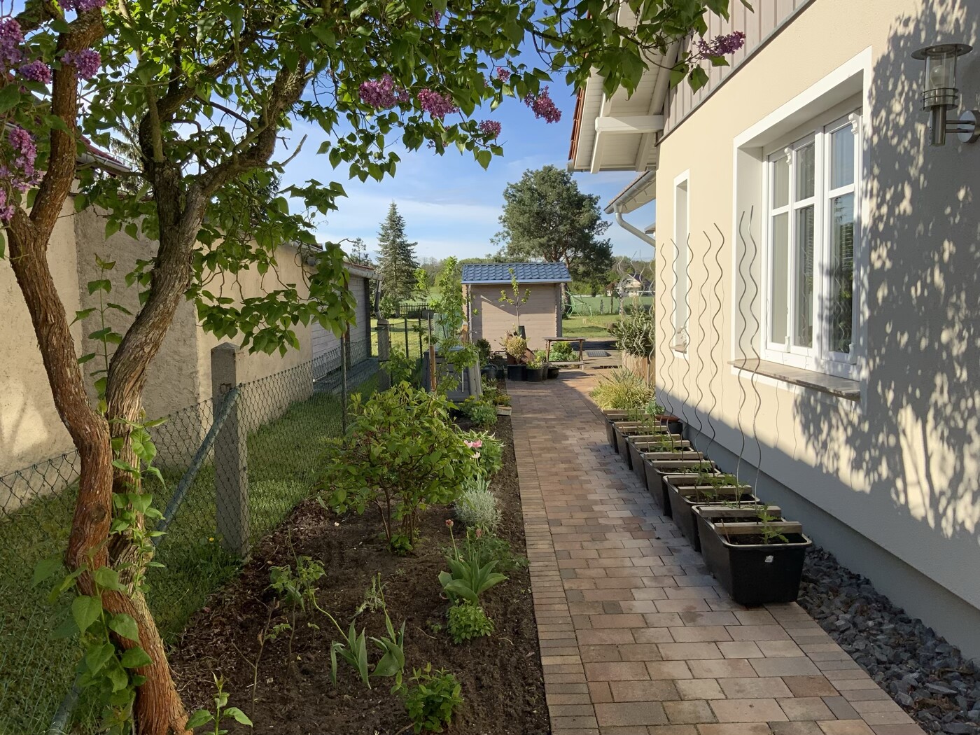 Gartenweg vorm Haus, links Flieder, rechts Pflanzkübel, Gartenhaus am Ende.