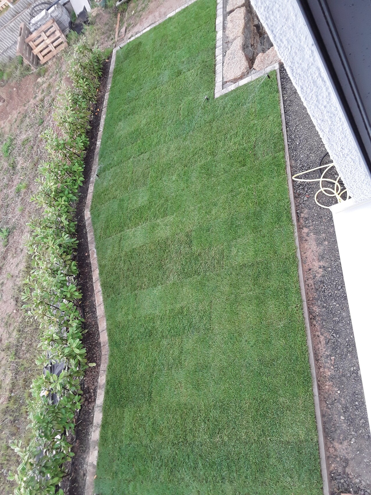 Gartenweg aus quadratischen Rasenplatten mit Steinrand, links Hecke, rechts Hauswand.