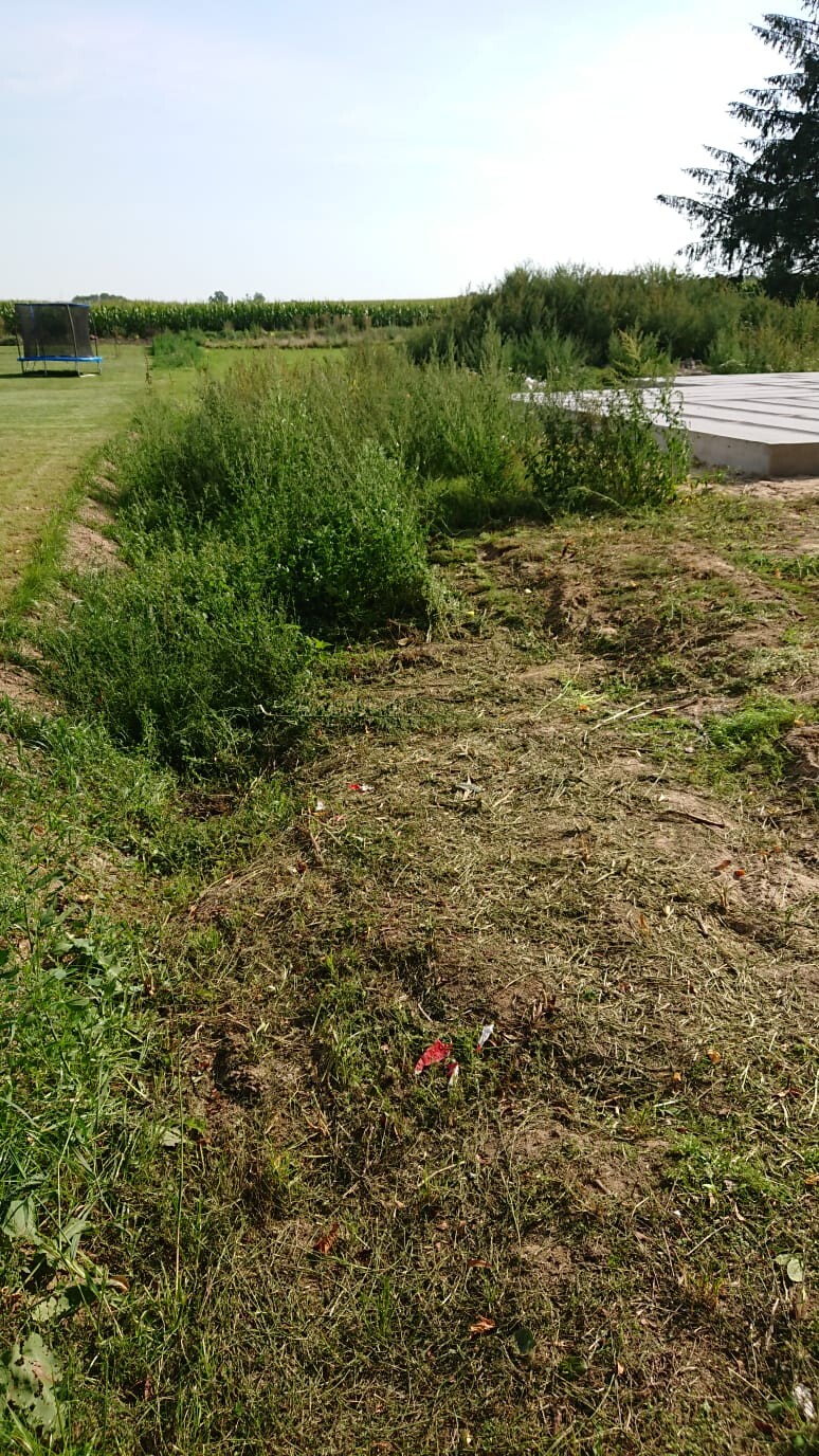 Grünes Baugrundstück im Freien mit Gras, Büschen und Trampolin links