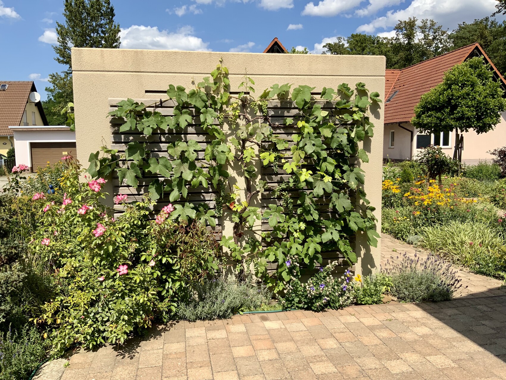 Gartenfront mit Kletterpflanzen an beige Wand, rosa Rosen links, bunte Blumen rechts, Weg.