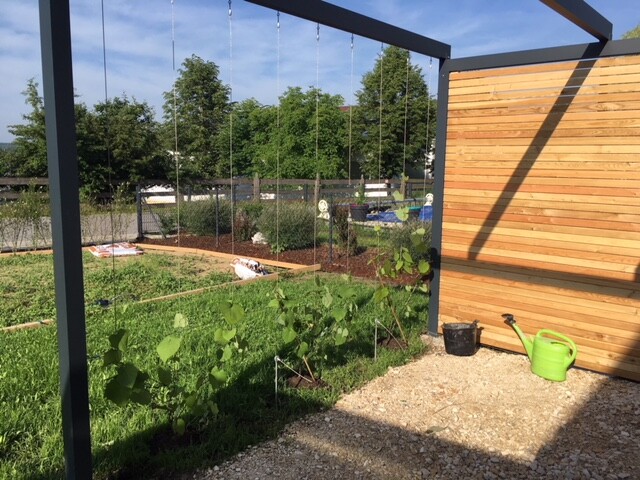 Außenbereich: Garten mit Metallrahmen, Holzwand, Gemüsebeet und Kletterpflanzen; Gießkanne.