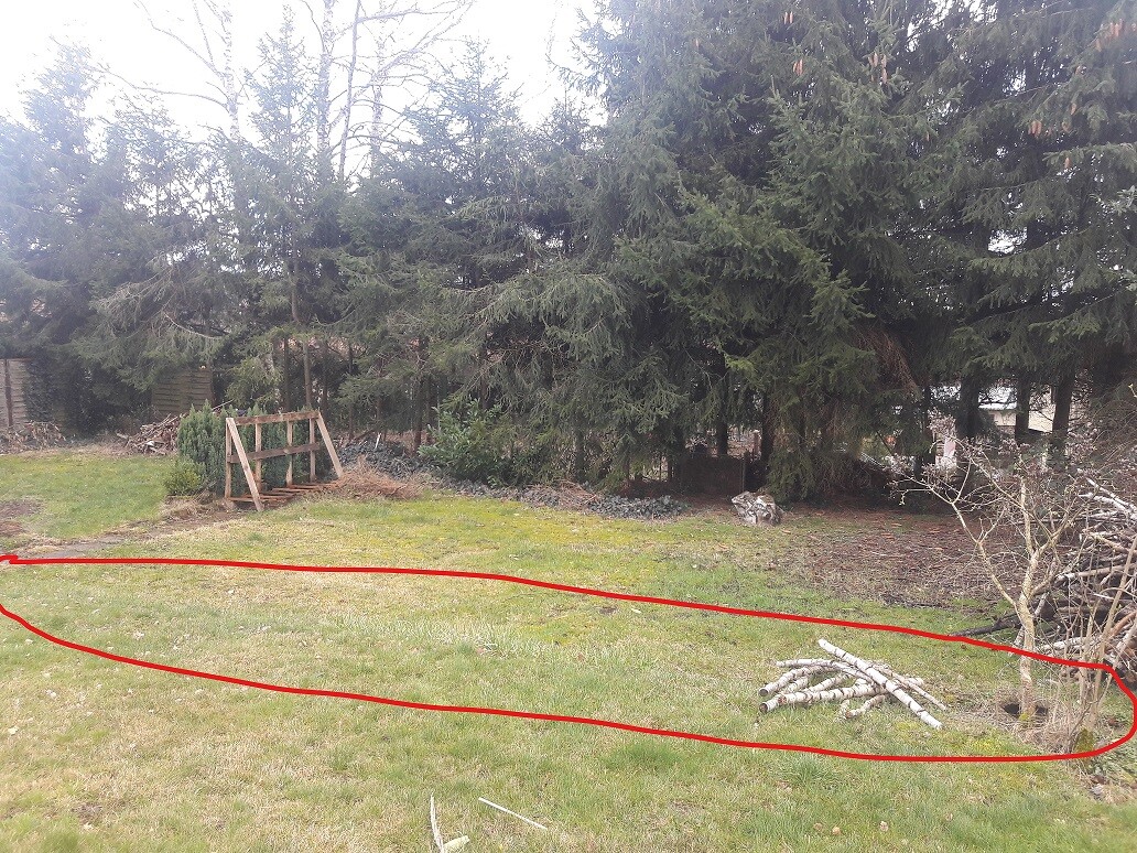 garten-ueberblick-rasen-baumbestand-holzstapel.jpg